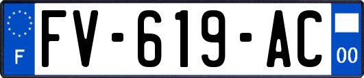 FV-619-AC