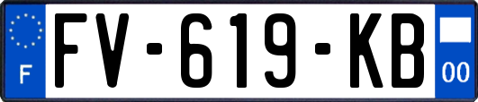 FV-619-KB