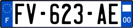 FV-623-AE