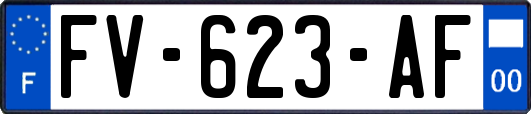 FV-623-AF