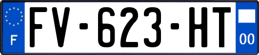 FV-623-HT