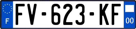 FV-623-KF