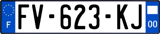 FV-623-KJ