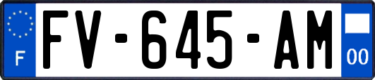 FV-645-AM