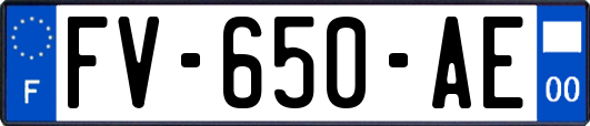 FV-650-AE