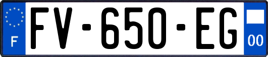 FV-650-EG