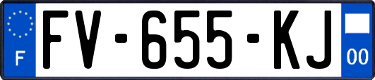 FV-655-KJ