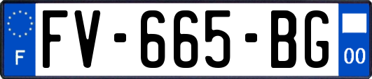 FV-665-BG