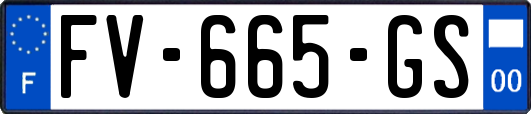 FV-665-GS