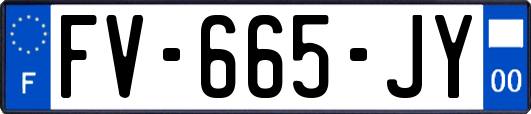 FV-665-JY