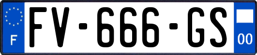 FV-666-GS