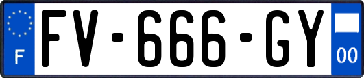 FV-666-GY