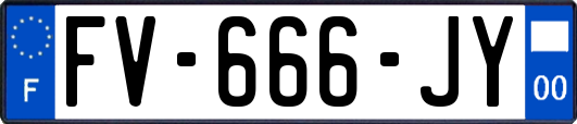 FV-666-JY