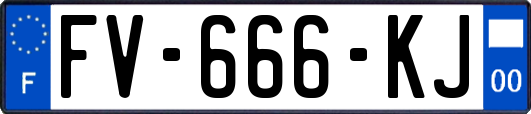FV-666-KJ