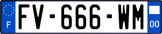 FV-666-WM