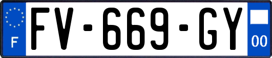 FV-669-GY