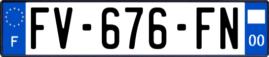 FV-676-FN