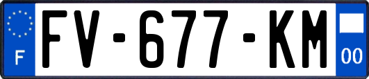 FV-677-KM