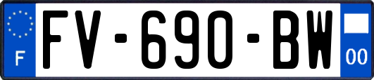 FV-690-BW