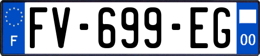 FV-699-EG