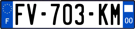 FV-703-KM