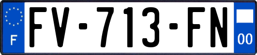 FV-713-FN