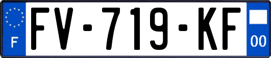 FV-719-KF