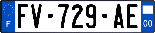 FV-729-AE