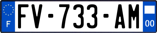 FV-733-AM