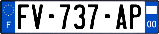 FV-737-AP