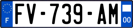 FV-739-AM