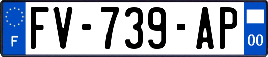 FV-739-AP