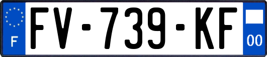 FV-739-KF