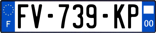 FV-739-KP