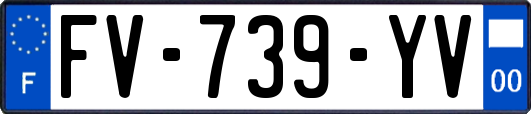 FV-739-YV