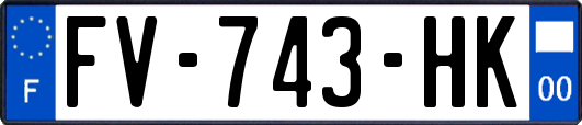 FV-743-HK