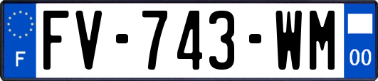 FV-743-WM