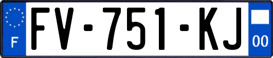 FV-751-KJ