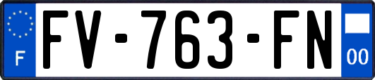 FV-763-FN