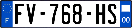 FV-768-HS