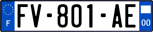 FV-801-AE