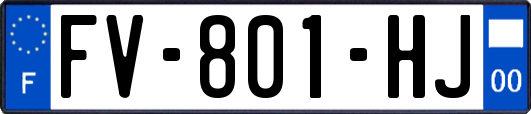 FV-801-HJ