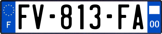 FV-813-FA