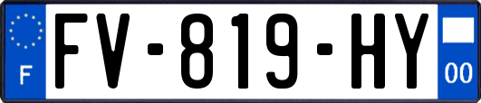 FV-819-HY