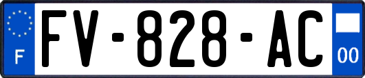 FV-828-AC