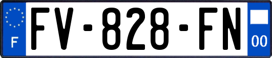 FV-828-FN