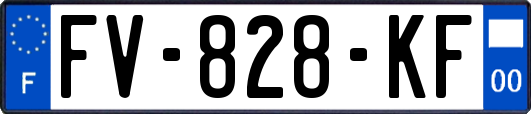 FV-828-KF
