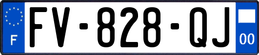 FV-828-QJ