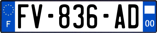 FV-836-AD