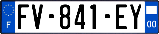 FV-841-EY